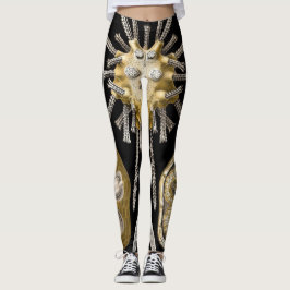 Vintag Sea Urchins Sand Dollars von Ernst Haeckel Leggings