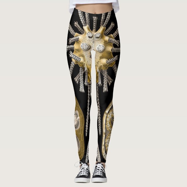 Vintag Sea Urchins Sand Dollars von Ernst Haeckel Leggings (Vorderseite)