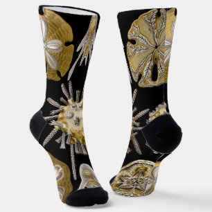 Vintag Sea Urchins Sand Dollars von Ernst Haeckel Socken