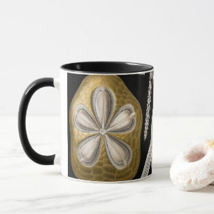 Vintag Sea Urchins Sand Dollars von Ernst Haeckel Tasse