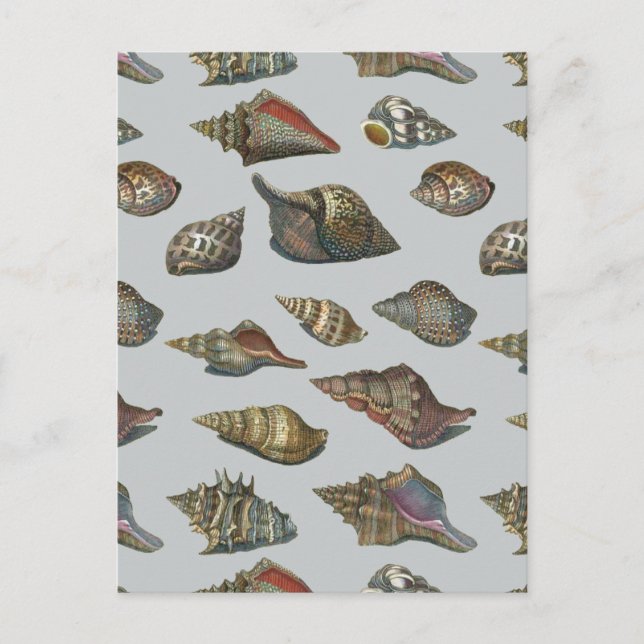 Vintag Seashells Postkarte (Vorderseite)