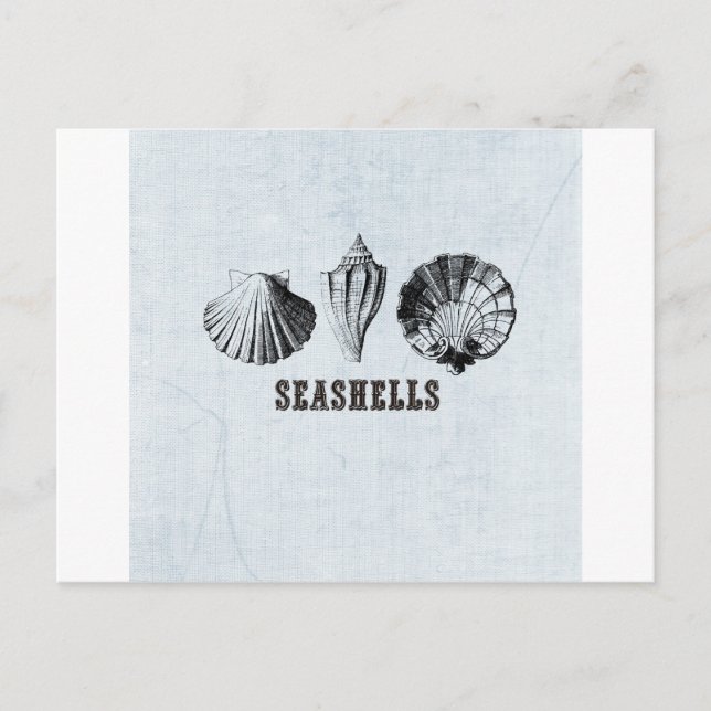 Vintag Seashells Postkarte (Vorderseite)