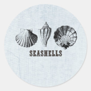 Vintag Seashells Runder Aufkleber