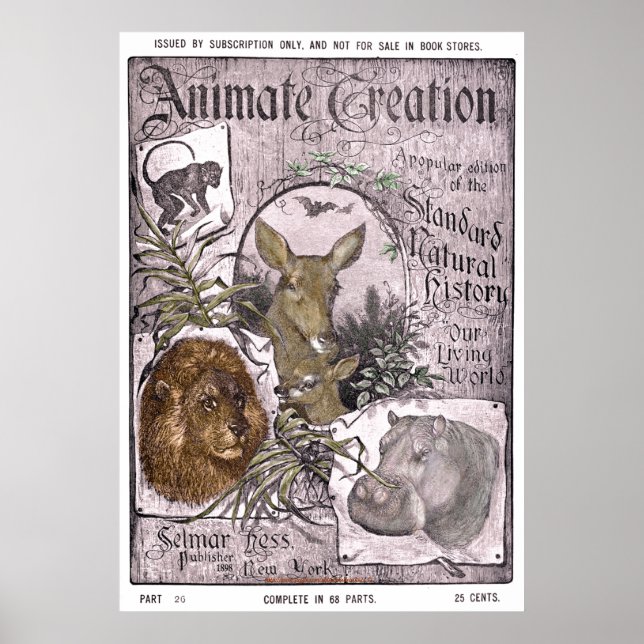 "Vintag-Selmar Hess -1898-Animate Creation" Poster (Vorne)