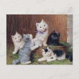 Vintag Sophie Sperlich Kittens Postkarte