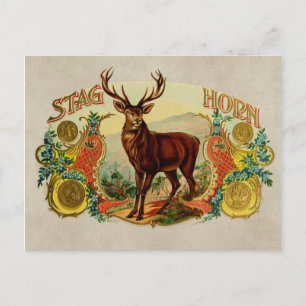 Vintag Stag Horn Postkarte