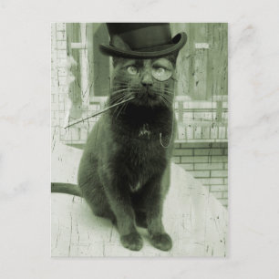 Vintag Steampunk LOL Funny Cat Postcard Postkarte