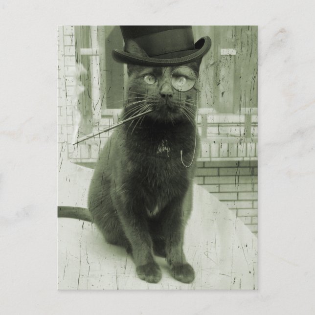 Vintag Steampunk LOL Funny Cat Postcard Postkarte (Vorderseite)