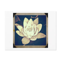 VINTAG STIL LOTUS "FOTOGRAPH" POSTCARD