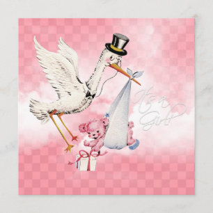 Vintag Stork Baby Girl Dusche Einladung