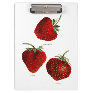 Vintag Strawberry Trio Klemmbrett