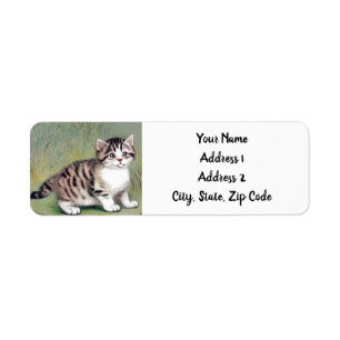 Vintag Striped Kitten Illustration