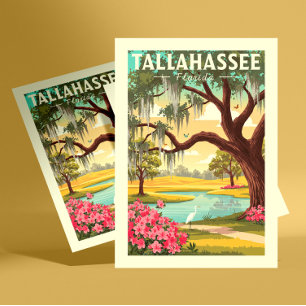 Vintag Tallahassee Florida Postkarte