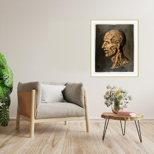 Vintag Testa Anatomica - Großkunstdruck Poster