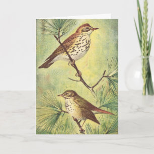 Vintag Thrushes Grußkarte Karte