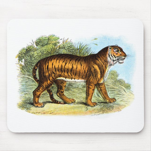 Vintag Tiger Illustration Mousepad (Vorne)