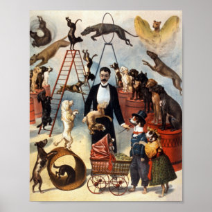 Vintag trainierte Zirkus Dog Act Trick Hunde 1899 Poster