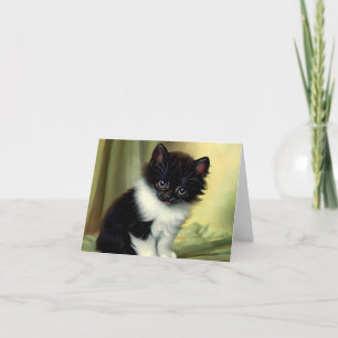 Vintag Tuxedo Kitten Illustration Einladung