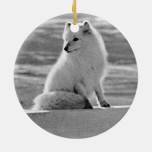 Vintag USA Alaska Arctic fox 1970 Keramikornament