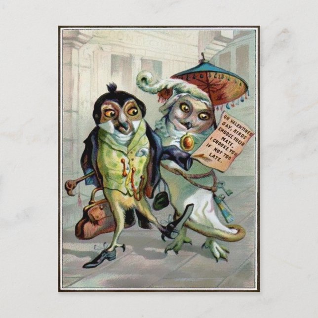Vintag Valentine Owls Postkarte (Vorderseite)