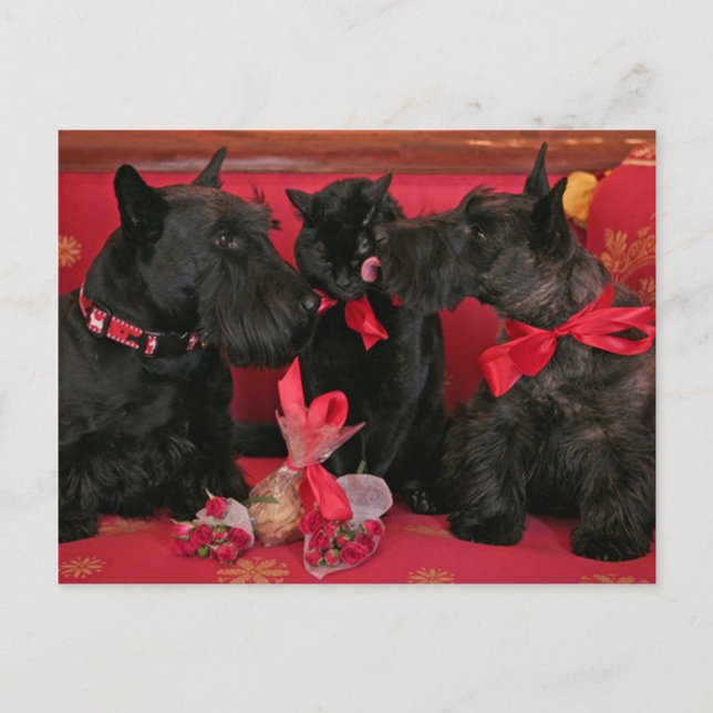 Vintag: Valentinstag - Feiertagspostkarte (Vorderseite)