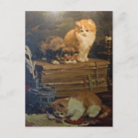 Vintag Van den Eycken Drei Katzen auf einem Schrei