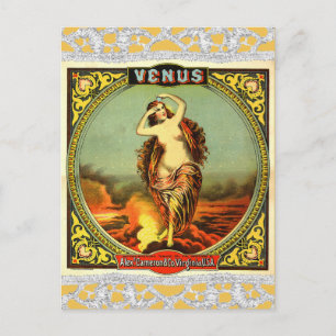 Vintag Venus Ephemera Postkarte