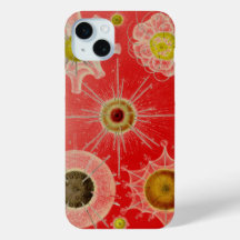 Vintag verändertes Haeckel