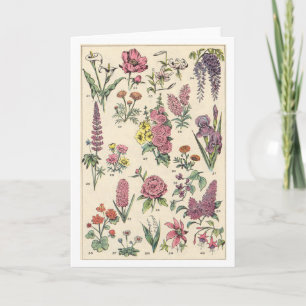 Vintag-violette Blumen Karte