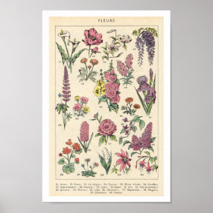Vintag-violette Blumen Poster