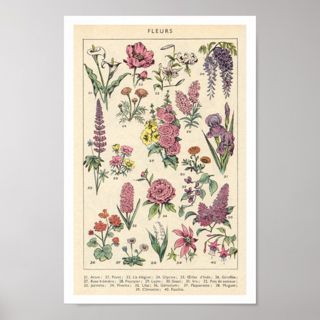 Vintag-violette Blumen Poster (Vorne)