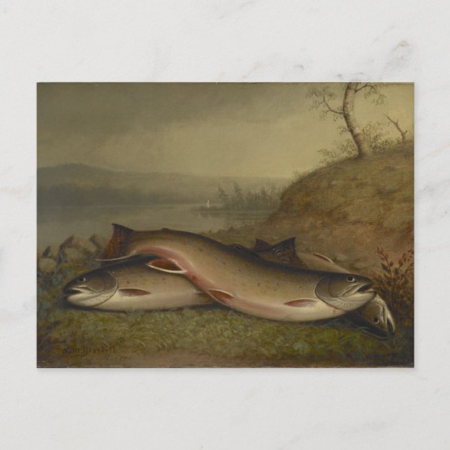 Vintag Walter Brackett Trout Postkarte (Vorderseite)