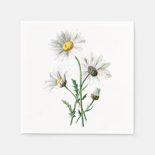Vintag White Daisy Blume Illustration Serviette (Vorderseite)