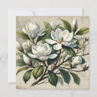 Vintag White Magnolia Botanical