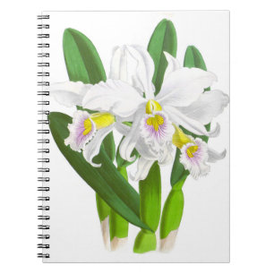 Vintag-White-Orchid-Blume_GC-Notebook Notizblock