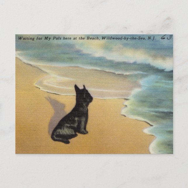 Vintag Wildwood-by-the-Sea, New Jersey Postkarte (Vorderseite)