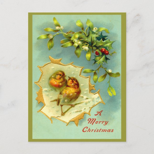 Vintag Winter Birds Weihnachten Postkarte (Vorderseite)