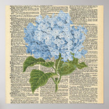 Vintag Wörterbuch Blue Hydrangea Blume Poster