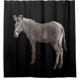 Vintag Zebra Duschvorhang