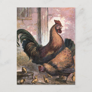 Vintag Zeichnend: Rooster und Hen Postkarte