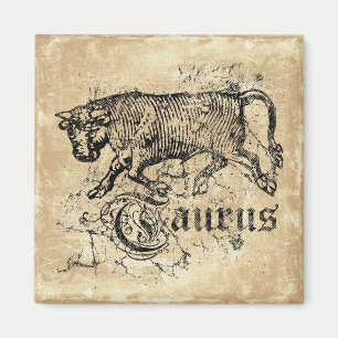 Vintag Zodiac Taurus Magnet