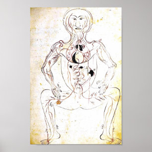 Vintage 13th Century Persian Anatomy Poster