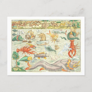 Vintage-1544-Meeresmonster-Illustration Postkarte