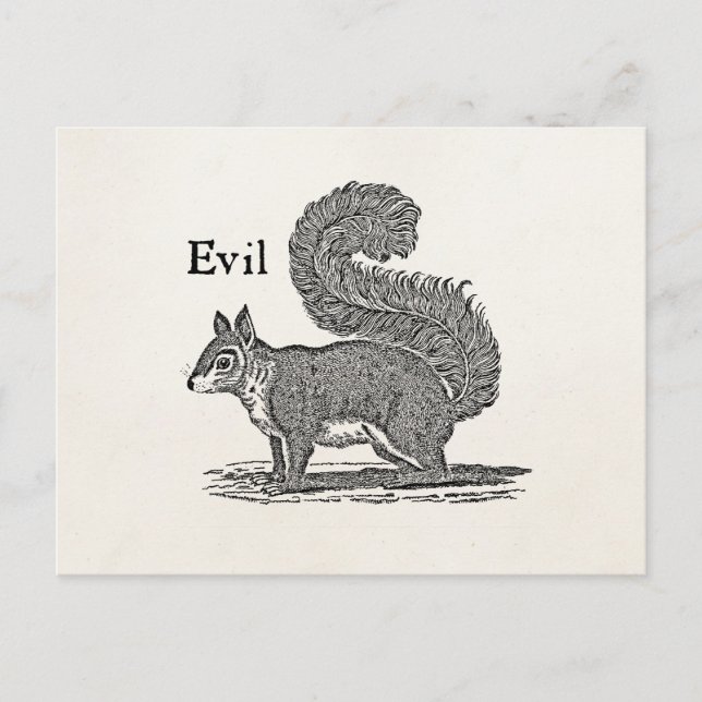 Vintage 1800er Evil Squirrel Illustration Postkarte (Vorderseite)
