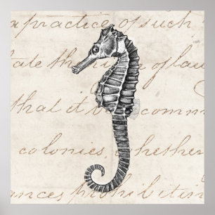 Vintage 1800er Hawaiianische Pferdedarstellung Poster