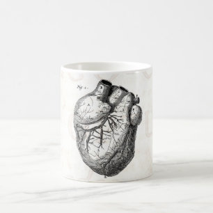 Vintage 1800er Herz Retro Herz Anatomie Herzen Tasse