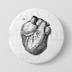 Vintage 1800er Herz Retro-Herzanatomie Herzen Button
