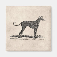 Vintage 1800er-Jahre-Hunde-Hunde-Illustration - Hu