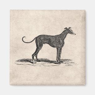 Vintage 1800er-Jahre-Hunde-Hunde-Illustration - Hu Magnet