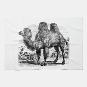 Vintage 1800er Kamel - Ägyptische Kamele Vorlage Geschirrtuch